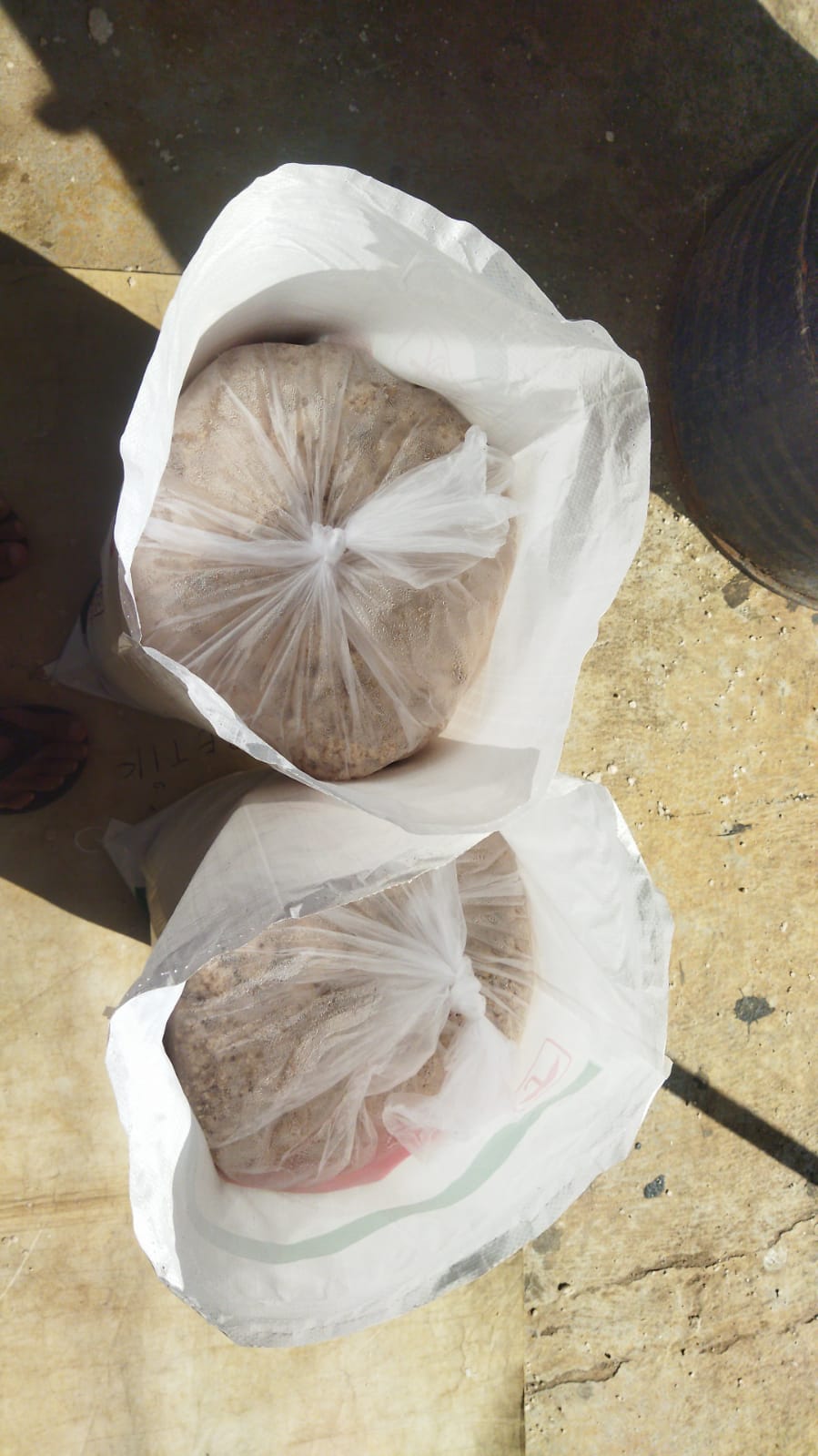 Foto tambahan Onggok (ampas singkong)